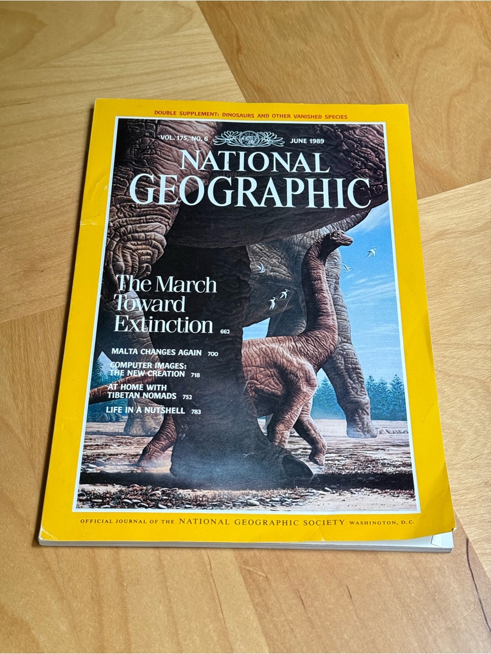 National Geographic Magazine Vol. 175 No. 6 March Toward Extinction June 1989
